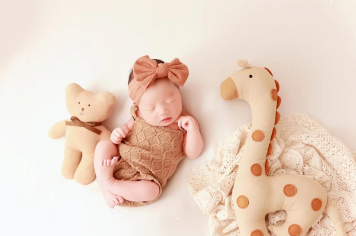 宿迁宝宝虾的做法 宿迁宝宝虾的做法